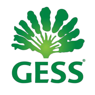 GESS